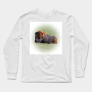 Lying bison Long Sleeve T-Shirt